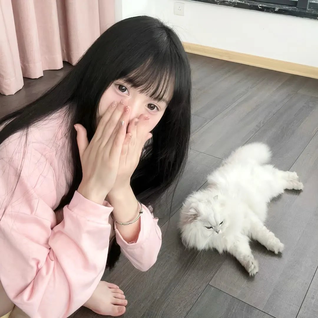 诺斯特拉达姆士的预言